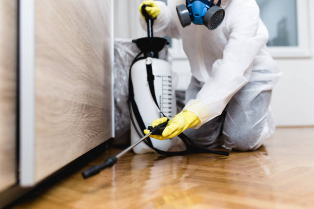 Best Pest Control for Restaurants  in New River, AZ